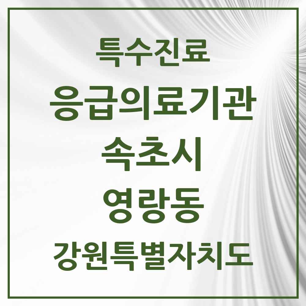 2025 강원특별자치도 속초시 영랑동 응급의료기관 의원·병원 목록 1곳