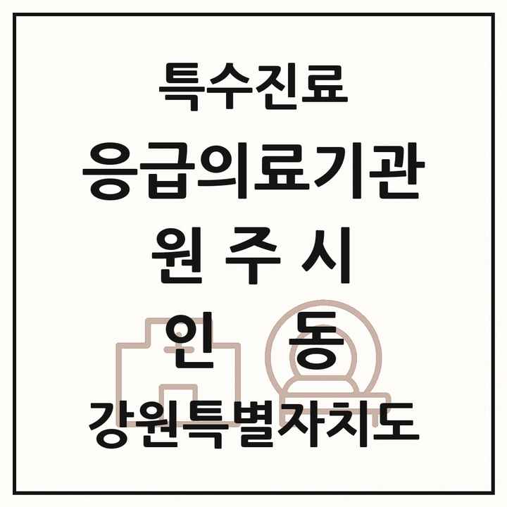 2026 강원특별자치도 원주시 인동 응급의료기관 의원·병원 목록 1곳