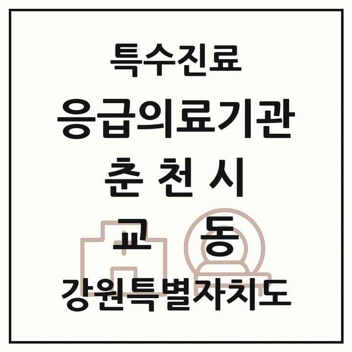 2026 강원특별자치도 춘천시 교동 응급의료기관 의원·병원 목록 1곳