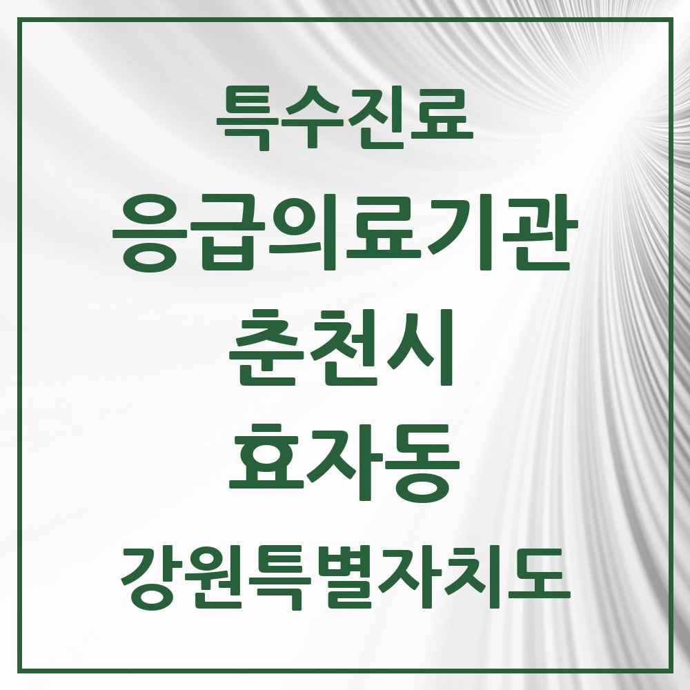 2025 강원특별자치도 춘천시 효자동 응급의료기관 의원·병원 목록 1곳