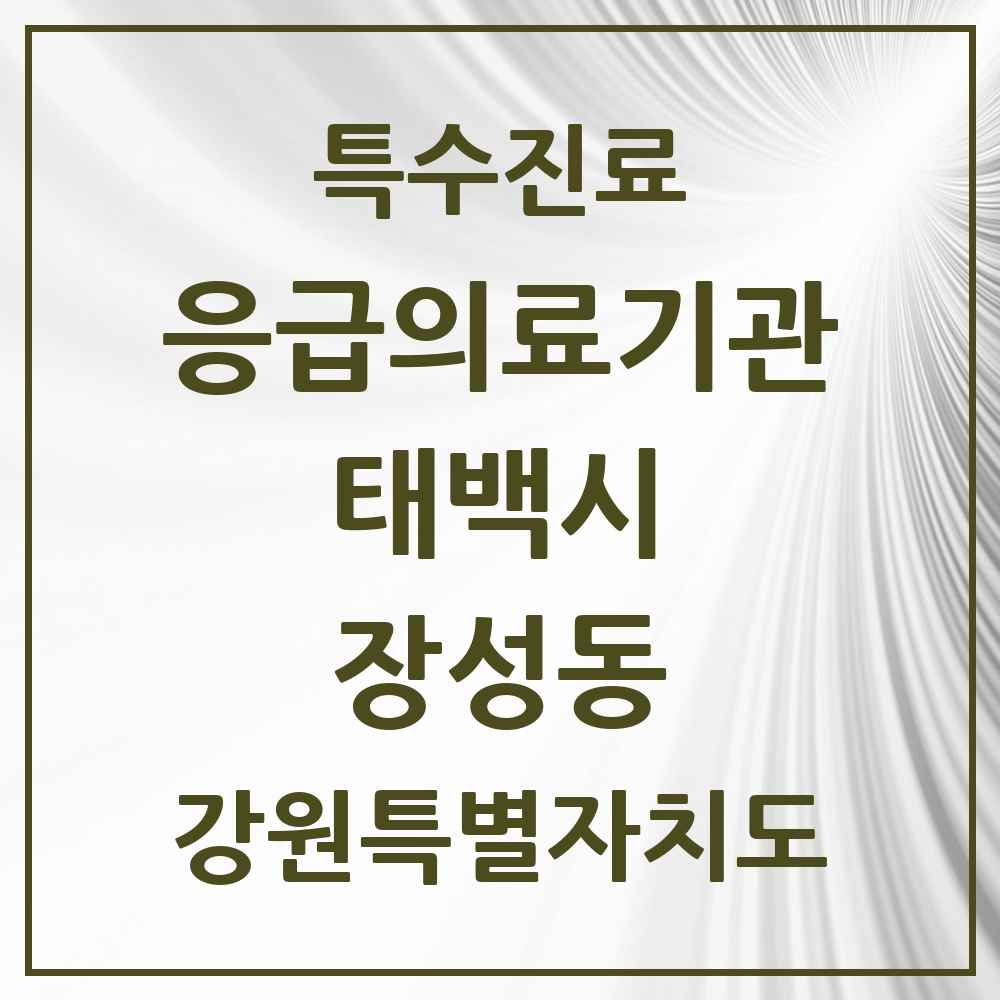 2025 강원특별자치도 태백시 장성동 응급의료기관 의원·병원 목록 1곳