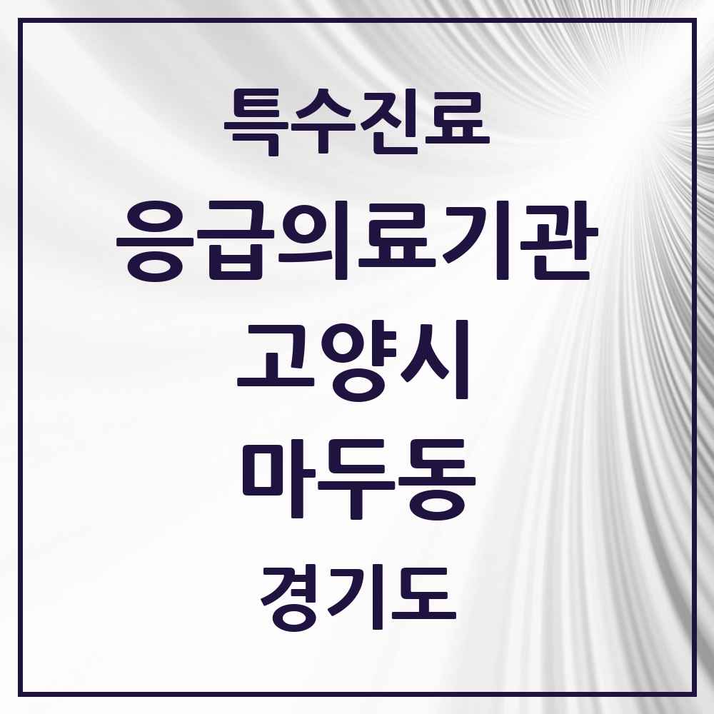 2025 경기도 고양시 마두동 응급의료기관 의원·병원 목록 1곳