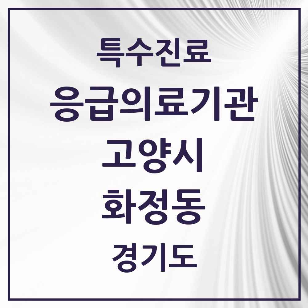 2025 경기도 고양시 화정동 응급의료기관 의원·병원 목록 1곳