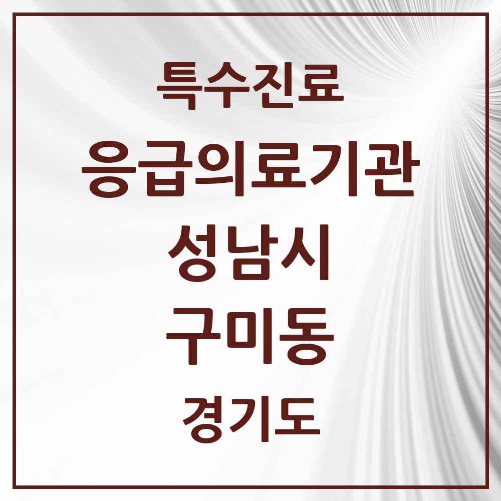2025 경기도 성남시 구미동 응급의료기관 의원·병원 목록 1곳