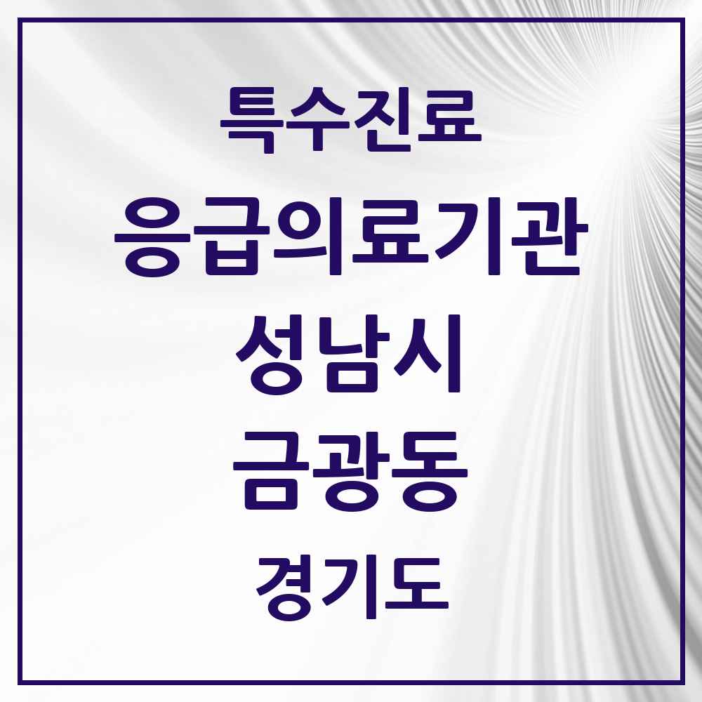 2025 경기도 성남시 금광동 응급의료기관 의원·병원 목록 1곳