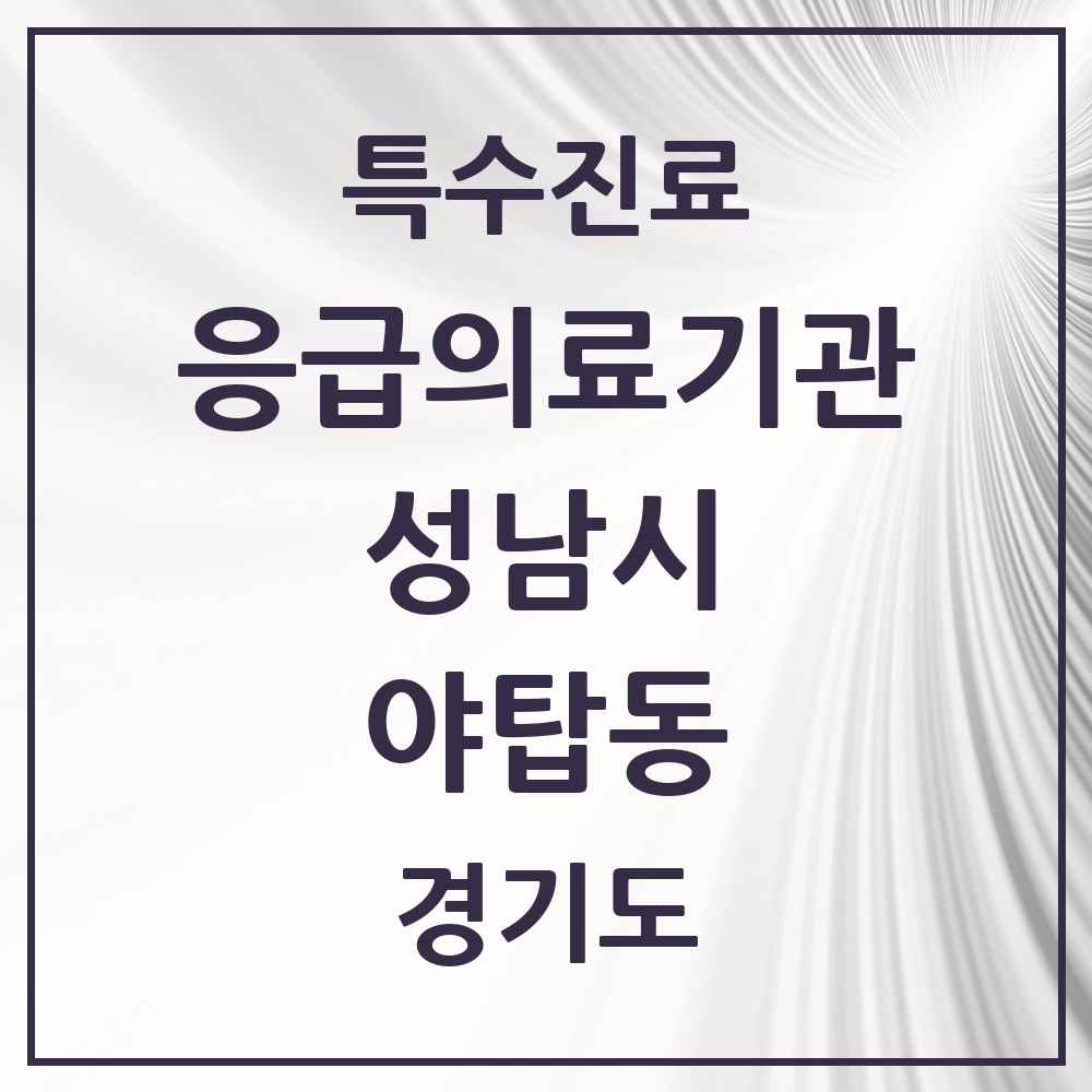 2025 경기도 성남시 야탑동 응급의료기관 의원·병원 목록 1곳