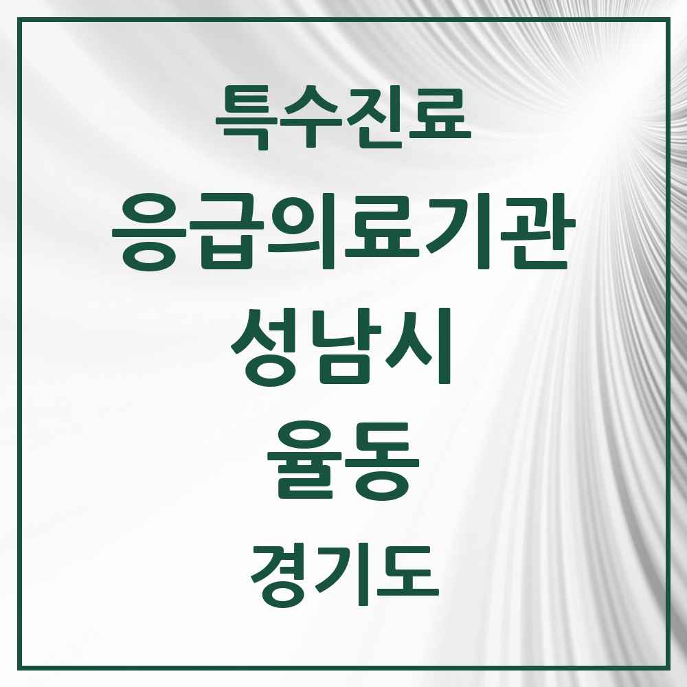 2025 경기도 성남시 율동 응급의료기관 의원·병원 목록 1곳