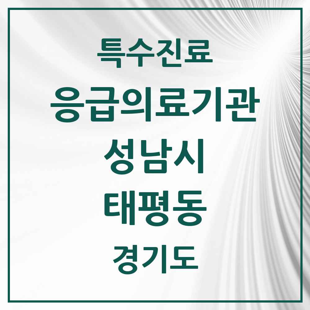 2025 경기도 성남시 태평동 응급의료기관 의원·병원 목록 1곳