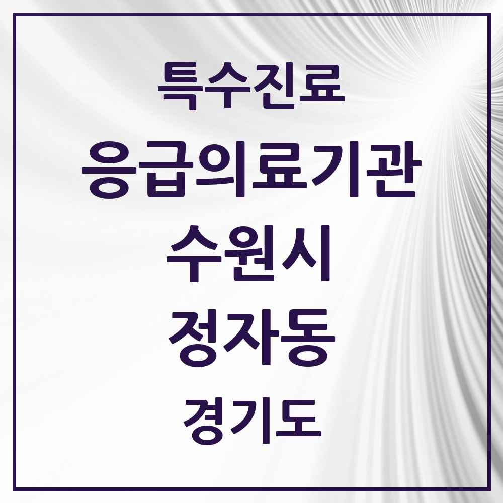 2025 경기도 수원시 정자동 응급의료기관 의원·병원 목록 1곳