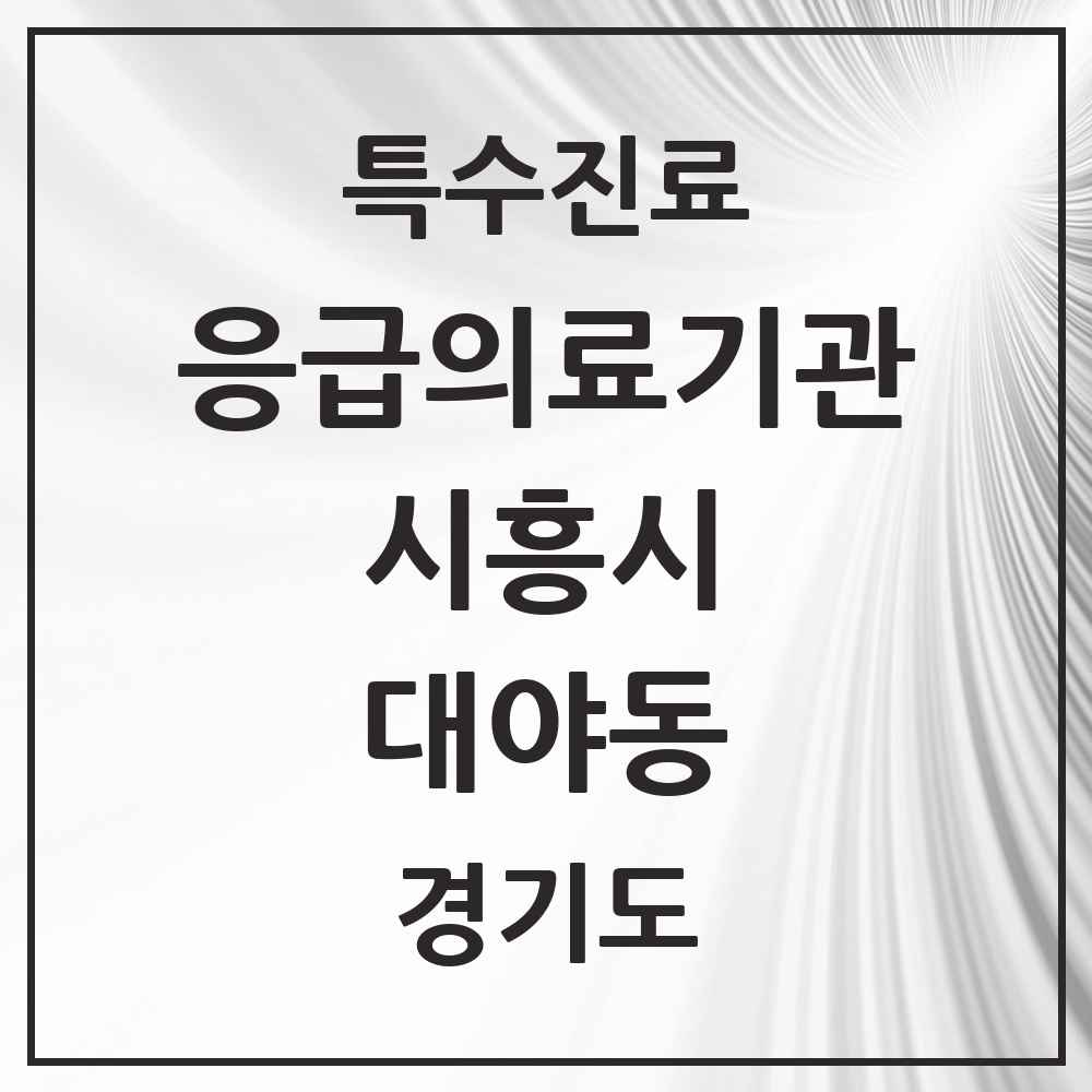 2025 경기도 시흥시 대야동 응급의료기관 의원·병원 목록 1곳