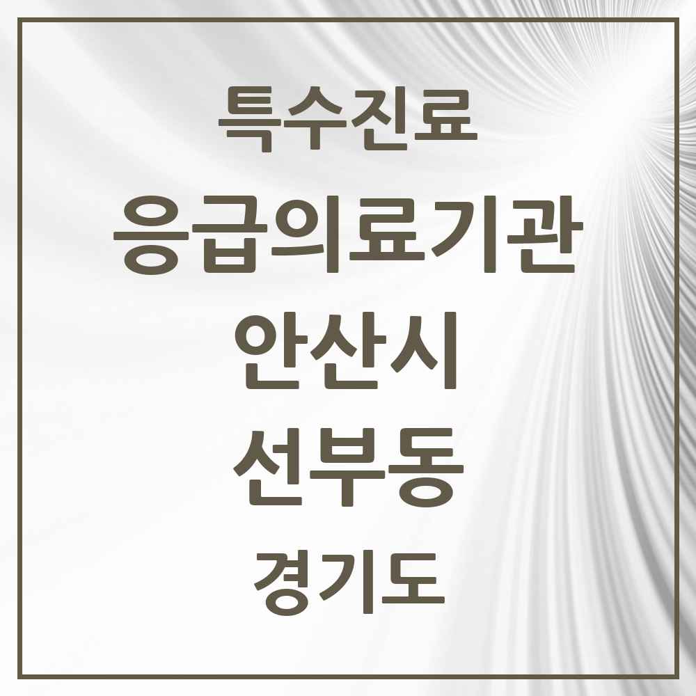 2025 경기도 안산시 선부동 응급의료기관 의원·병원 목록 1곳