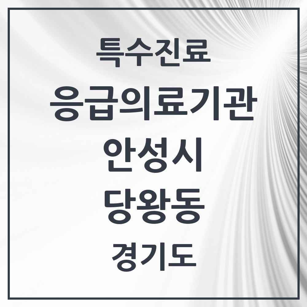 2025 경기도 안성시 당왕동 응급의료기관 의원·병원 목록 1곳