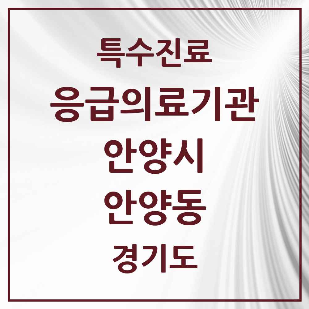 2025 경기도 안양시 안양동 응급의료기관 의원·병원 목록 1곳