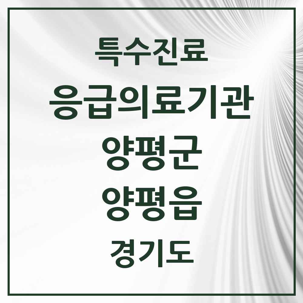 2025 경기도 양평군 양평읍 응급의료기관 의원·병원 목록 1곳