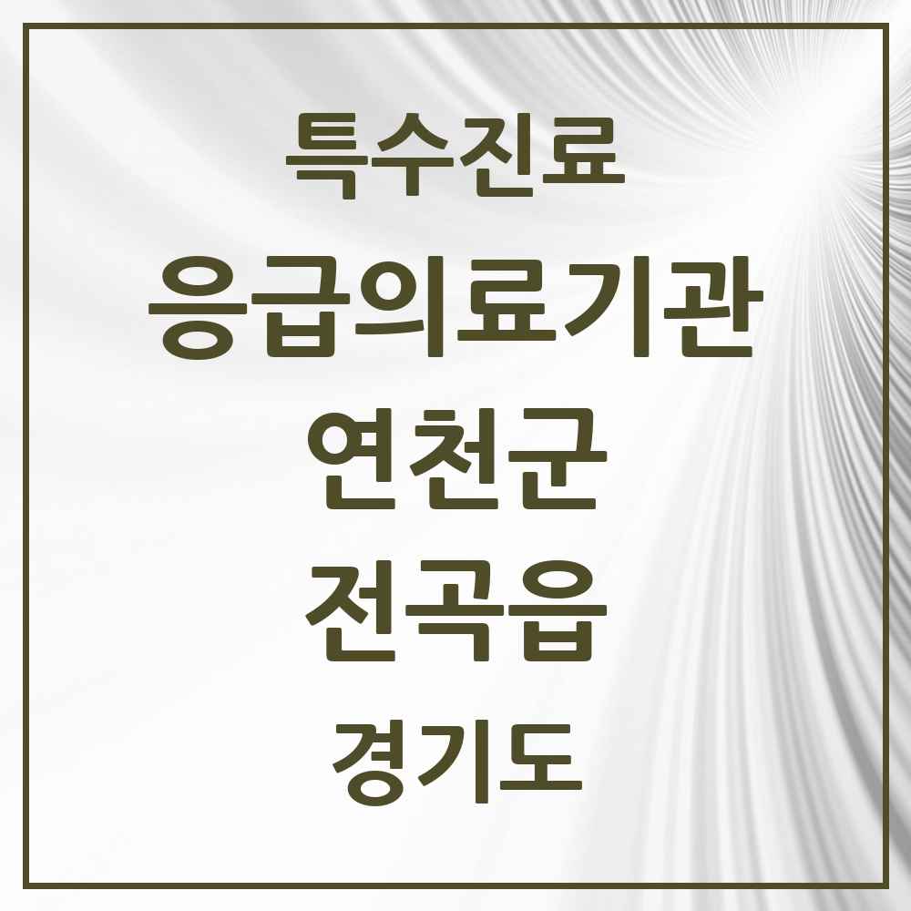 2025 경기도 연천군 전곡읍 응급의료기관 의원·병원 목록 1곳