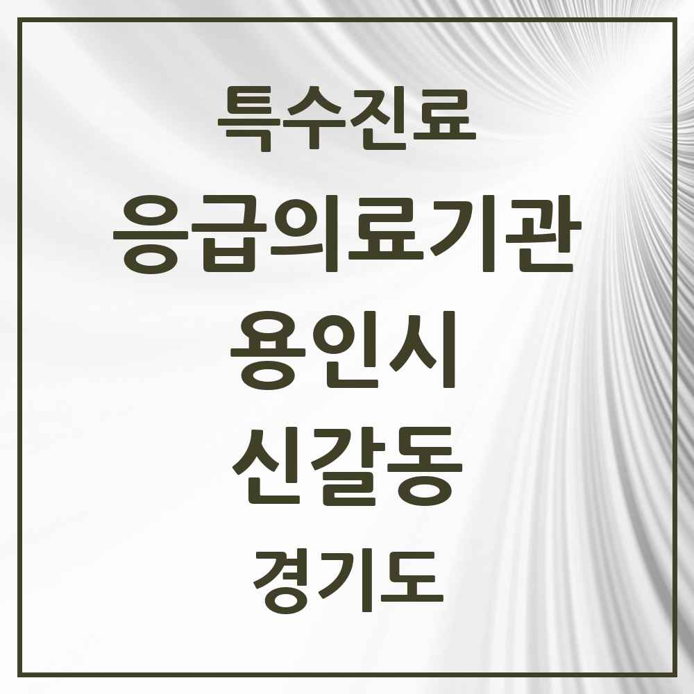 2025 경기도 용인시 신갈동 응급의료기관 의원·병원 목록 1곳