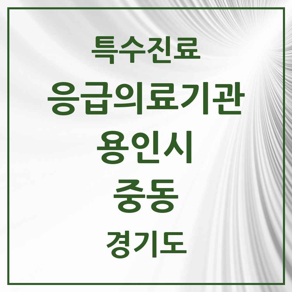 2025 경기도 용인시 중동 응급의료기관 의원·병원 목록 1곳