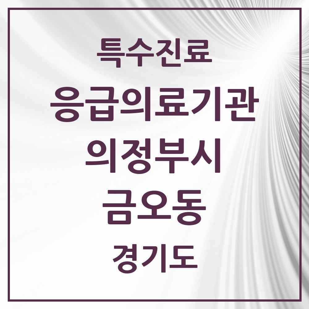 2025 경기도 의정부시 금오동 응급의료기관 의원·병원 목록 2곳