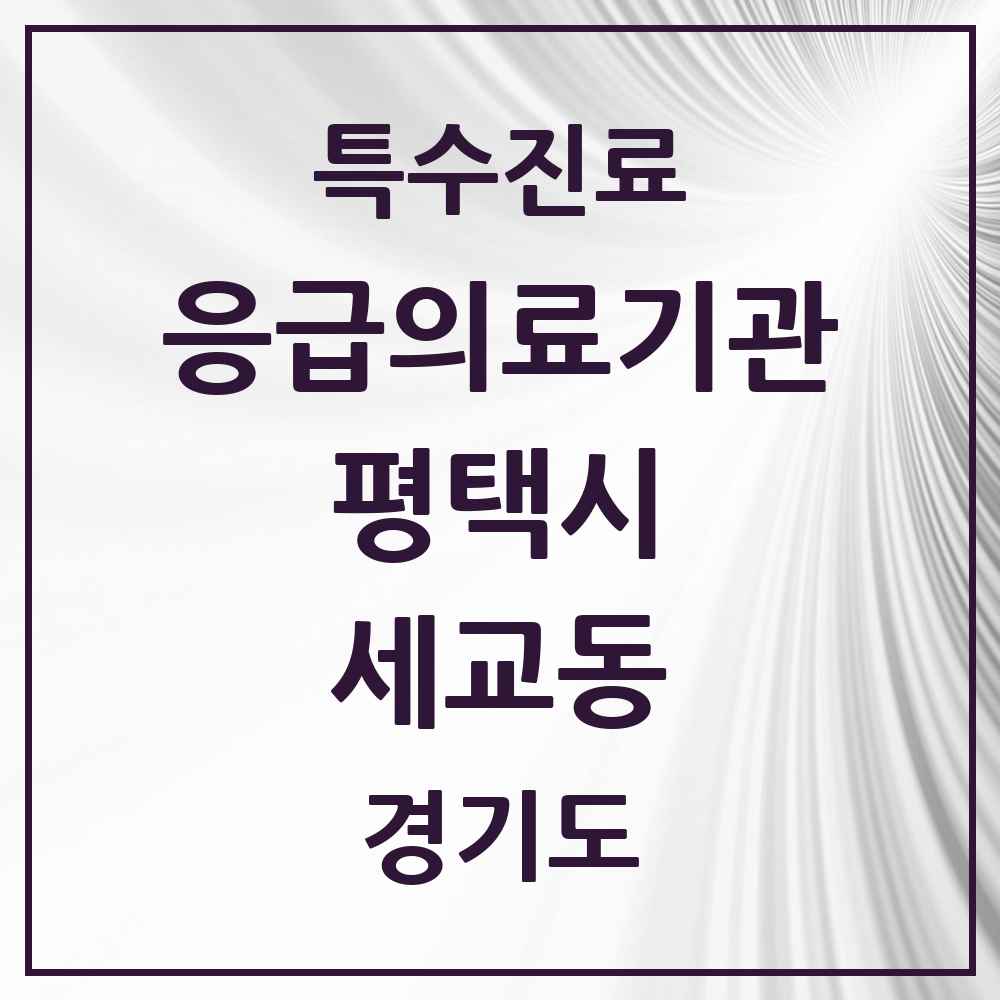 2025 경기도 평택시 세교동 응급의료기관 의원·병원 목록 1곳