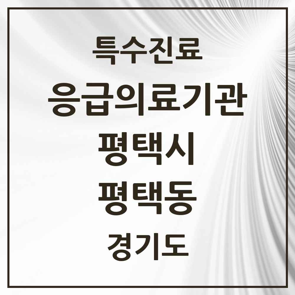 2025 경기도 평택시 평택동 응급의료기관 의원·병원 목록 1곳