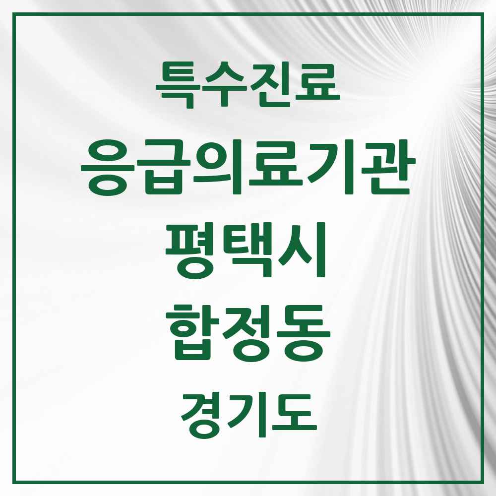 2025 경기도 평택시 합정동 응급의료기관 의원·병원 목록 1곳