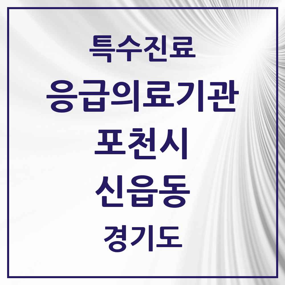 2025 경기도 포천시 신읍동 응급의료기관 의원·병원 목록 1곳