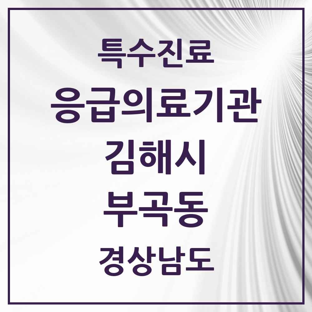 2025 경상남도 김해시 부곡동 응급의료기관 의원·병원 목록 1곳
