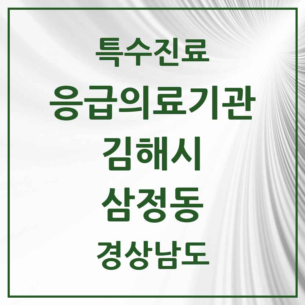 2025 경상남도 김해시 삼정동 응급의료기관 의원·병원 목록 1곳