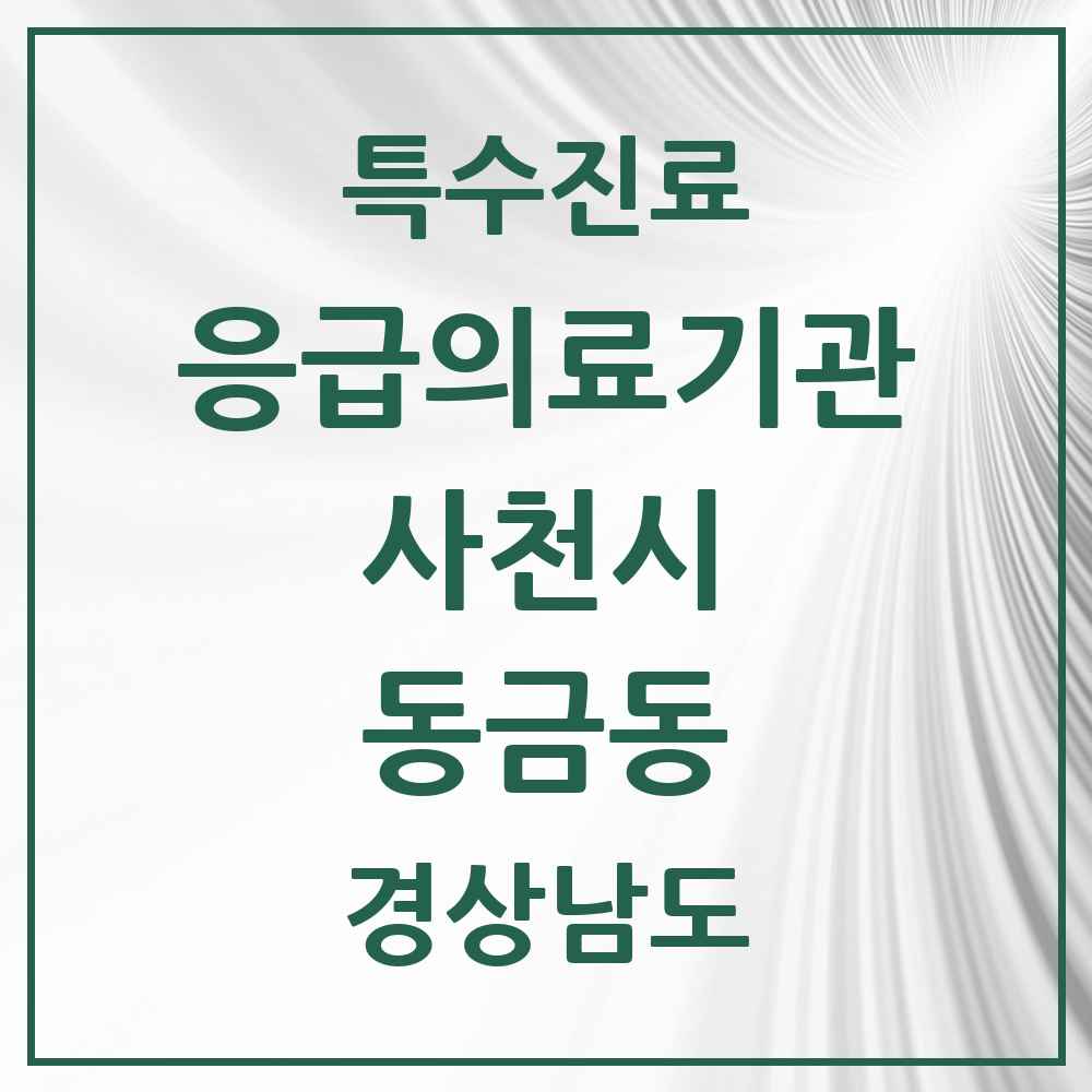 2025 경상남도 사천시 동금동 응급의료기관 의원·병원 목록 1곳