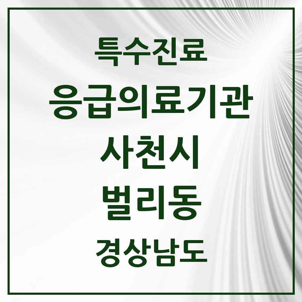 2025 경상남도 사천시 벌리동 응급의료기관 의원·병원 목록 1곳