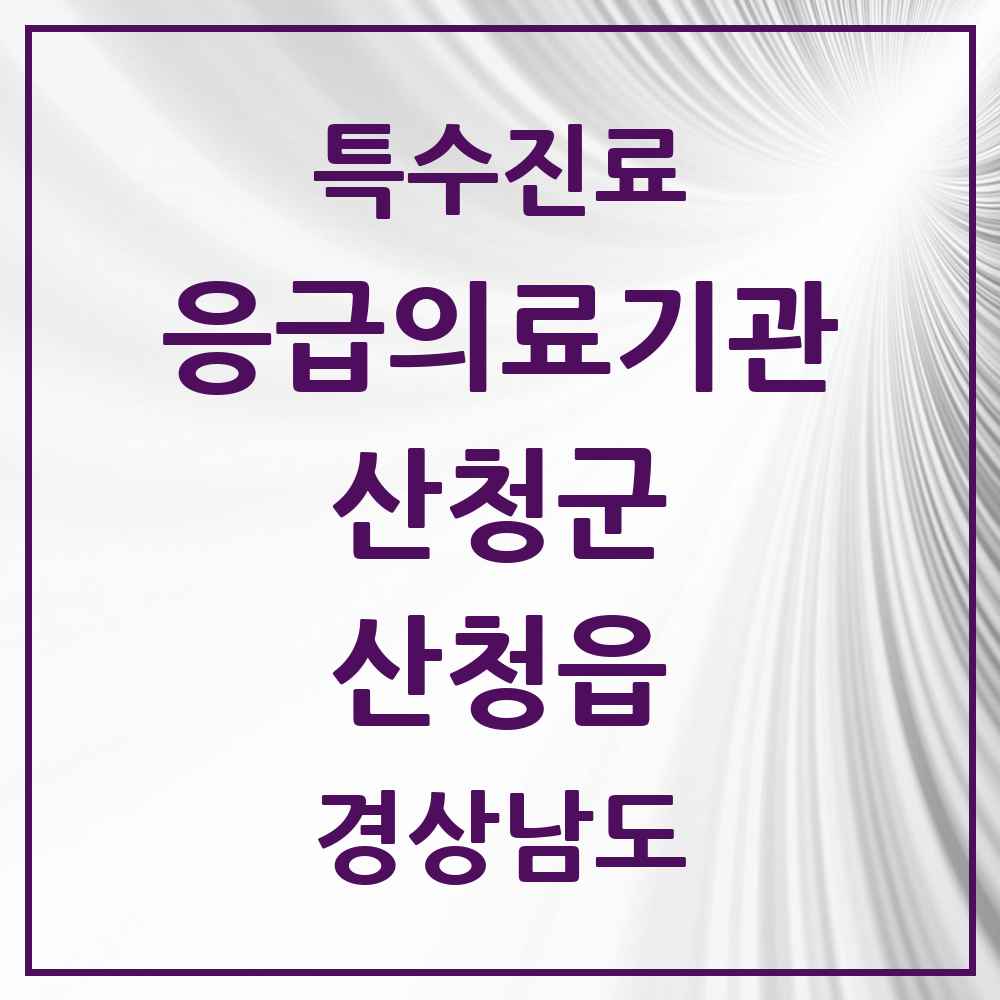 2025 경상남도 산청군 산청읍 응급의료기관 의원·병원 목록 1곳
