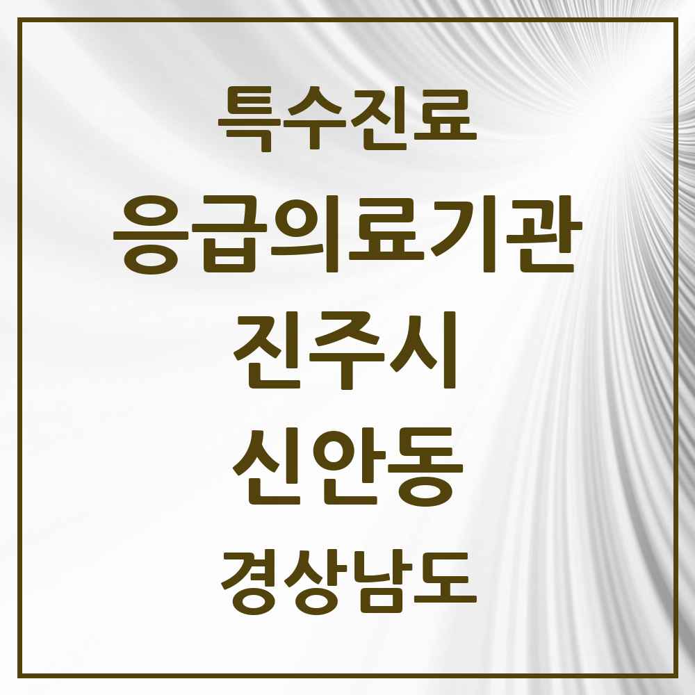 2025 경상남도 진주시 신안동 응급의료기관 의원·병원 목록 1곳