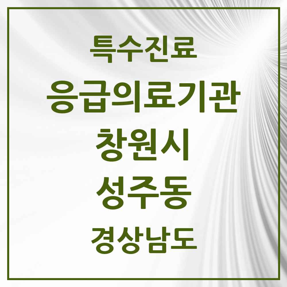 2025 경상남도 창원시 성주동 응급의료기관 의원·병원 목록 1곳