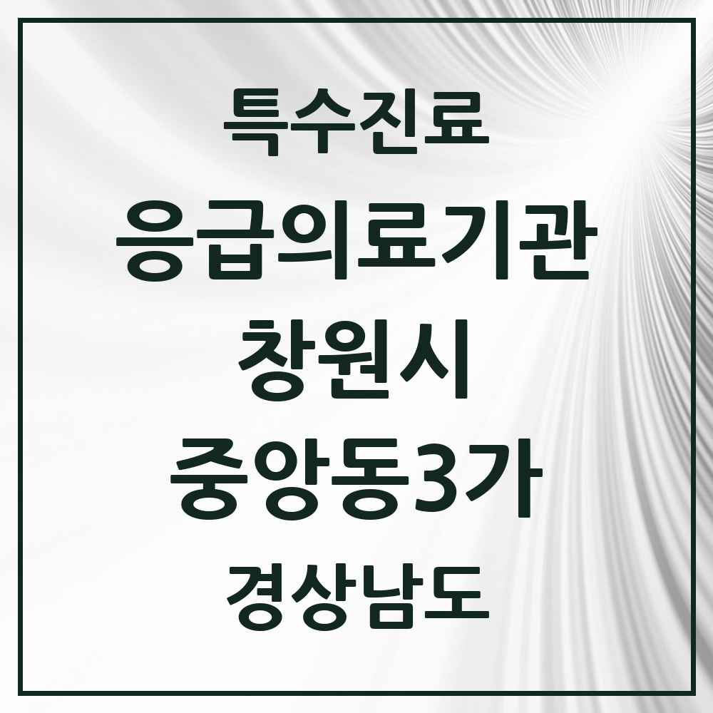 2025 경상남도 창원시 중앙동3가 응급의료기관 의원·병원 목록 1곳