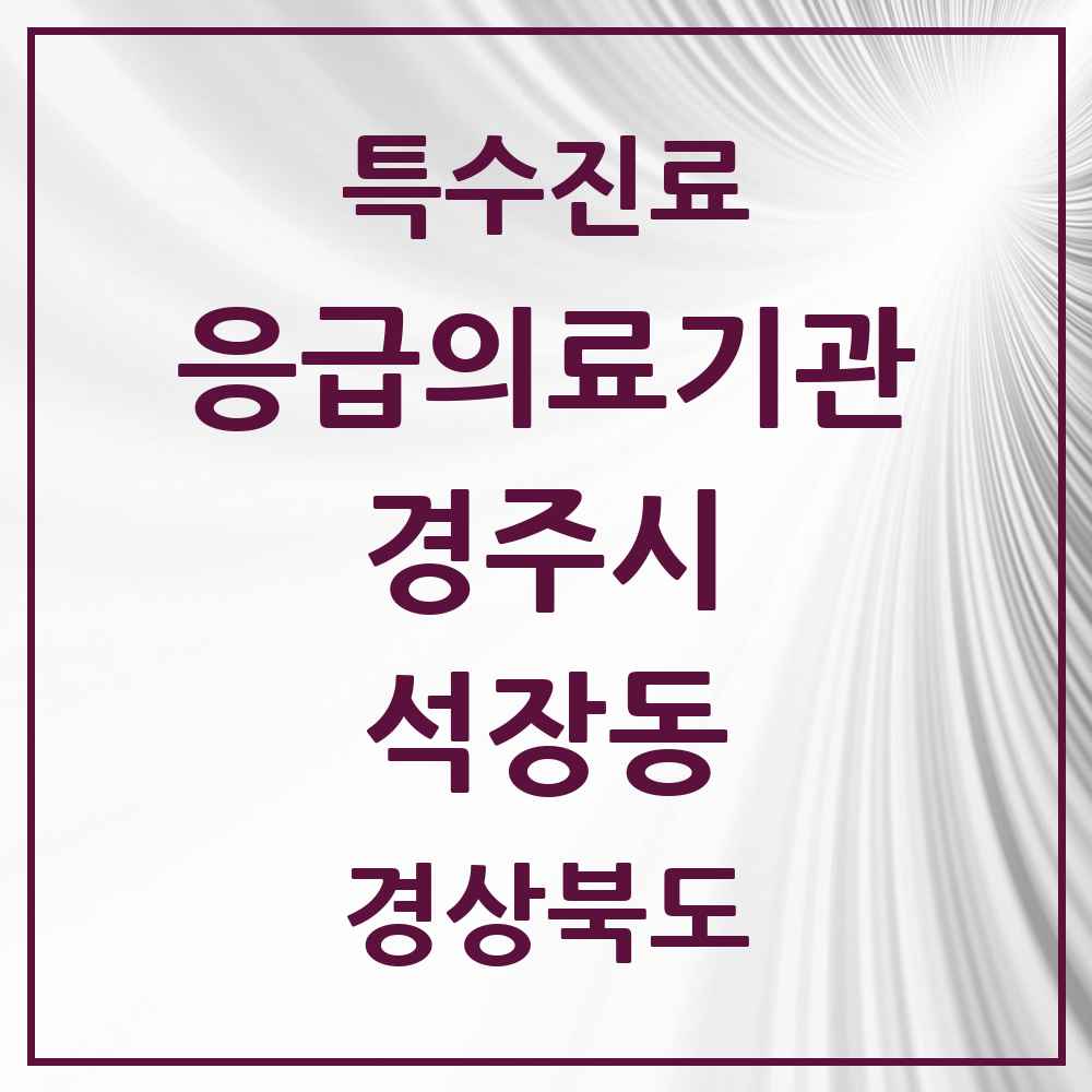 2025 경상북도 경주시 석장동 응급의료기관 의원·병원 목록 1곳