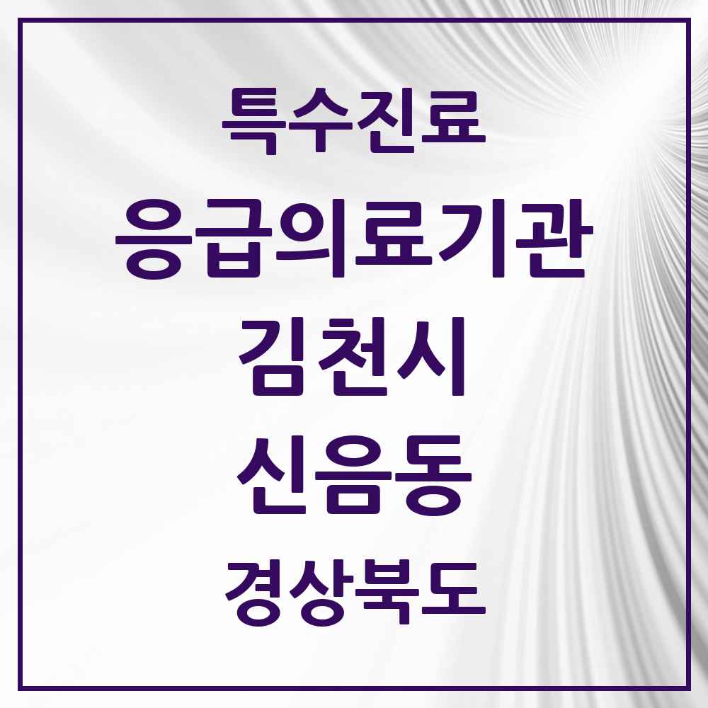 2025 경상북도 김천시 신음동 응급의료기관 의원·병원 목록 1곳