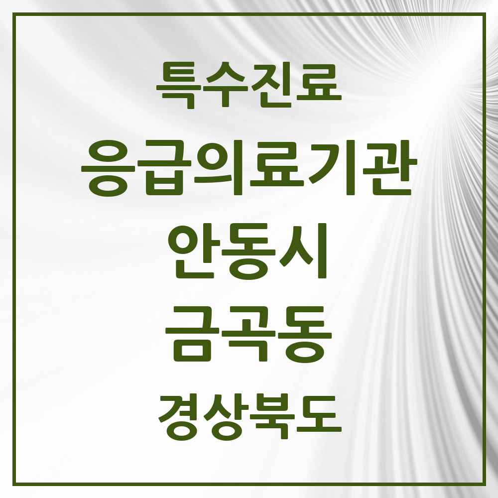 2025 경상북도 안동시 금곡동 응급의료기관 의원·병원 목록 1곳