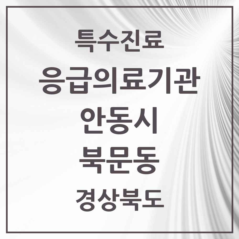 2025 경상북도 안동시 북문동 응급의료기관 의원·병원 목록 1곳