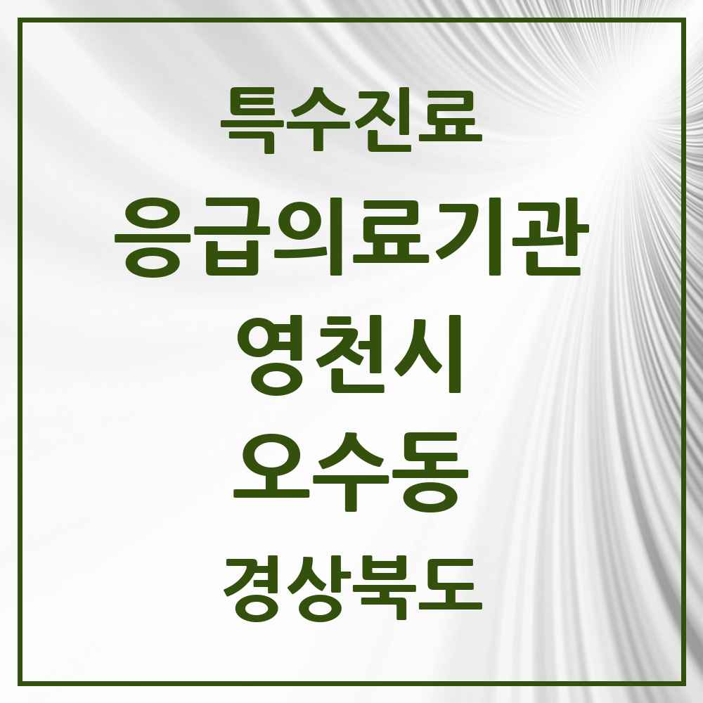 2025 경상북도 영천시 오수동 응급의료기관 의원·병원 목록 1곳