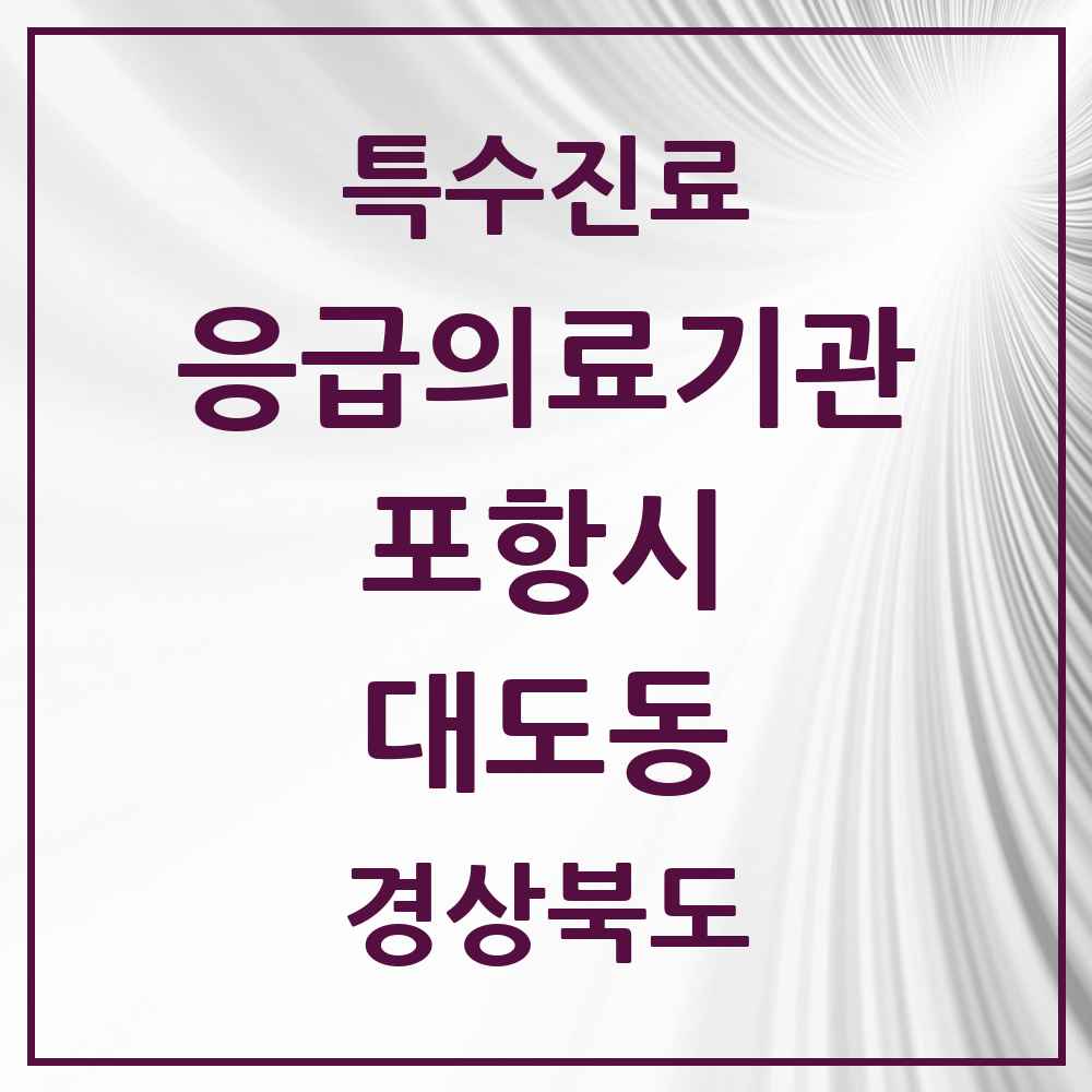 2025 경상북도 포항시 대도동 응급의료기관 의원·병원 목록 1곳