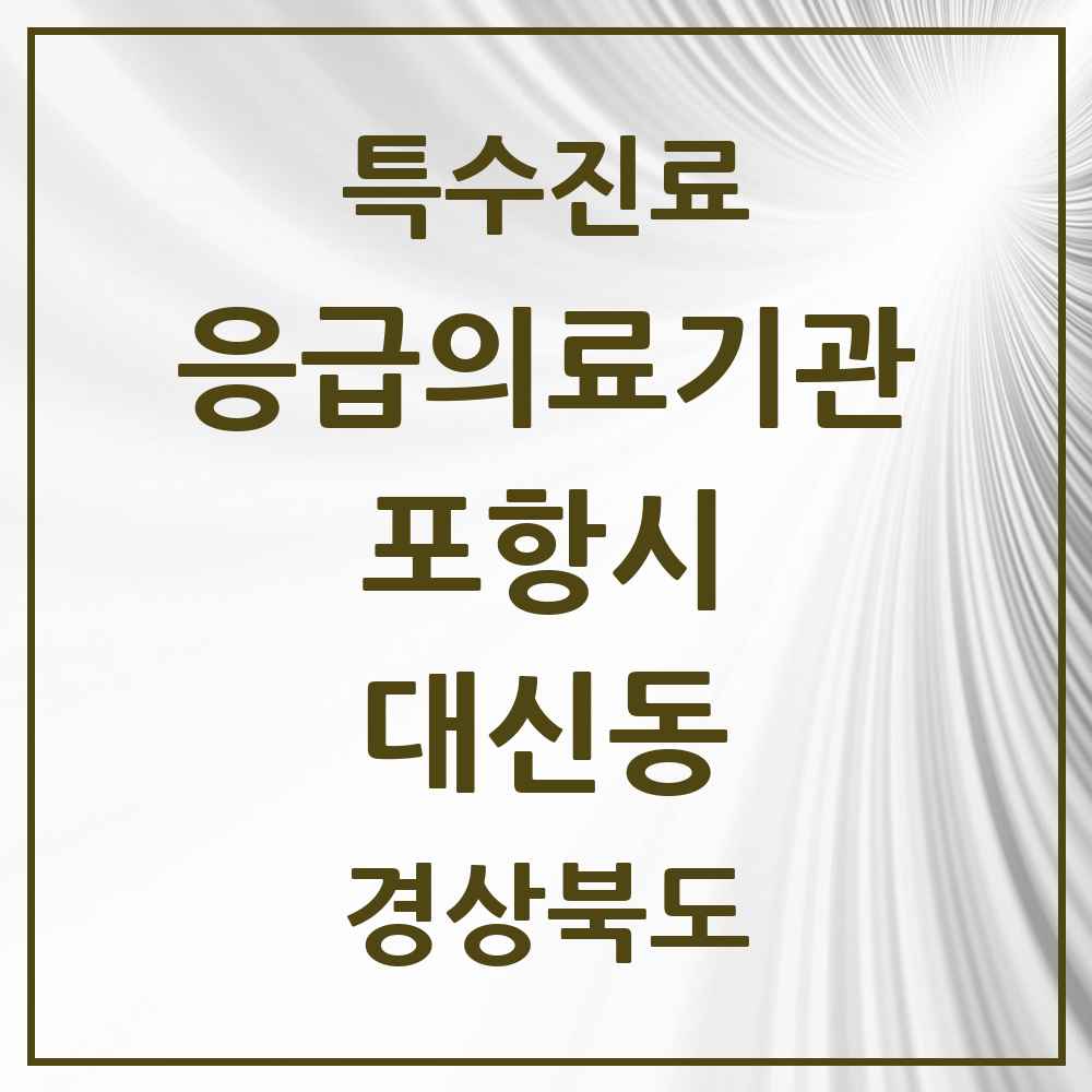 2025 경상북도 포항시 대신동 응급의료기관 의원·병원 목록 1곳