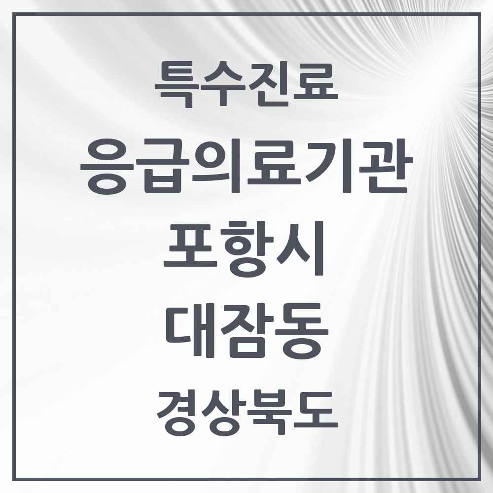 2025 경상북도 포항시 대잠동 응급의료기관 의원·병원 목록 1곳