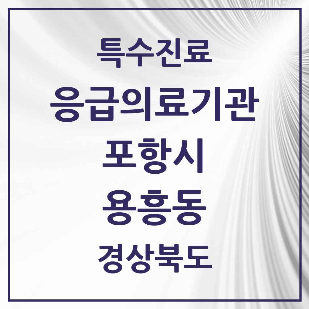 2025 경상북도 포항시 용흥동 응급의료기관 의원·병원 목록 1곳