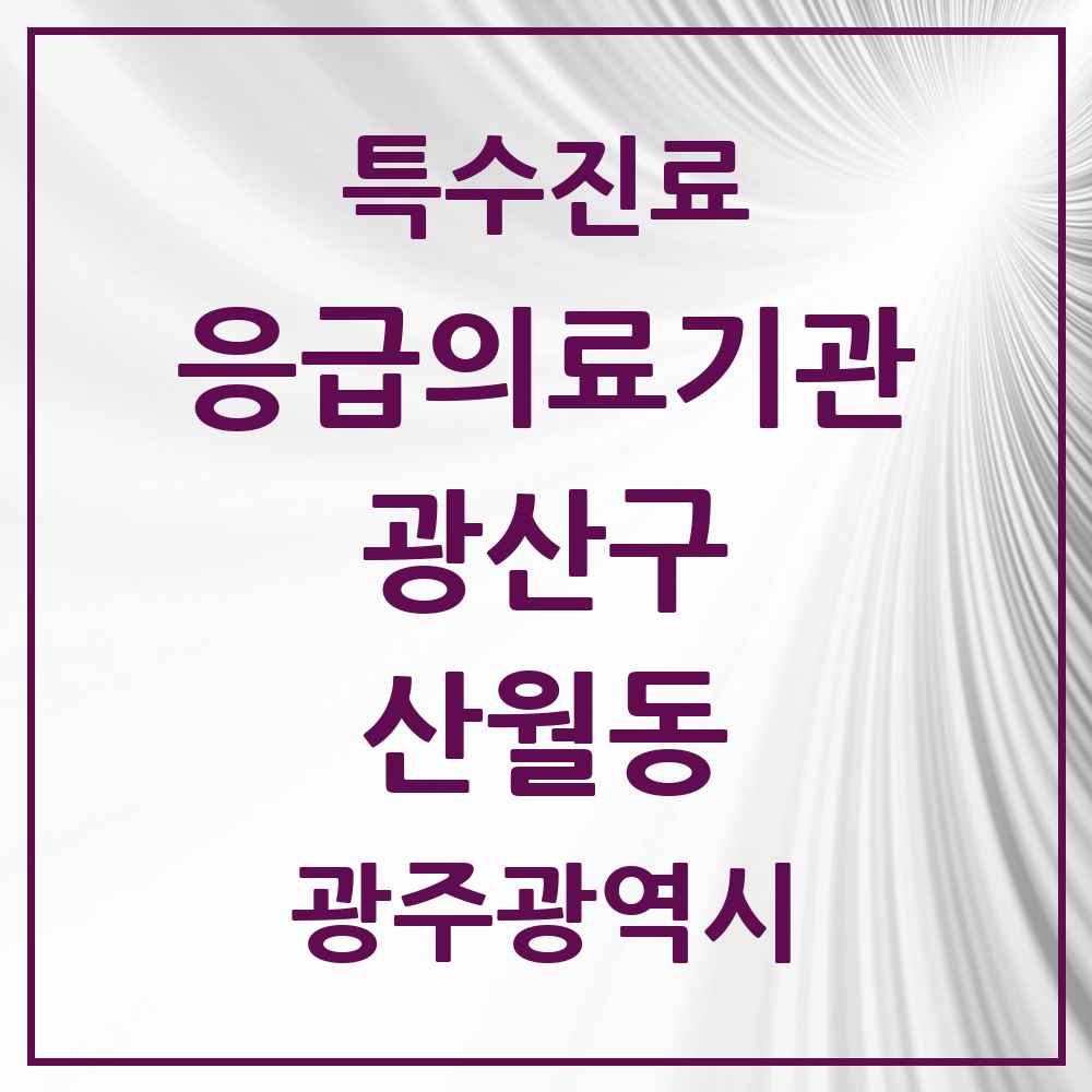 2025 광주광역시 광산구 산월동 응급의료기관 의원·병원 목록 1곳
