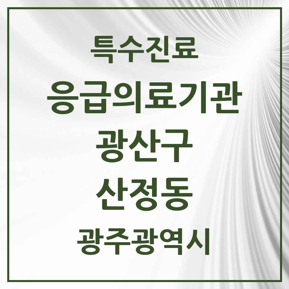 2025 광주광역시 광산구 산정동 응급의료기관 의원·병원 목록 1곳