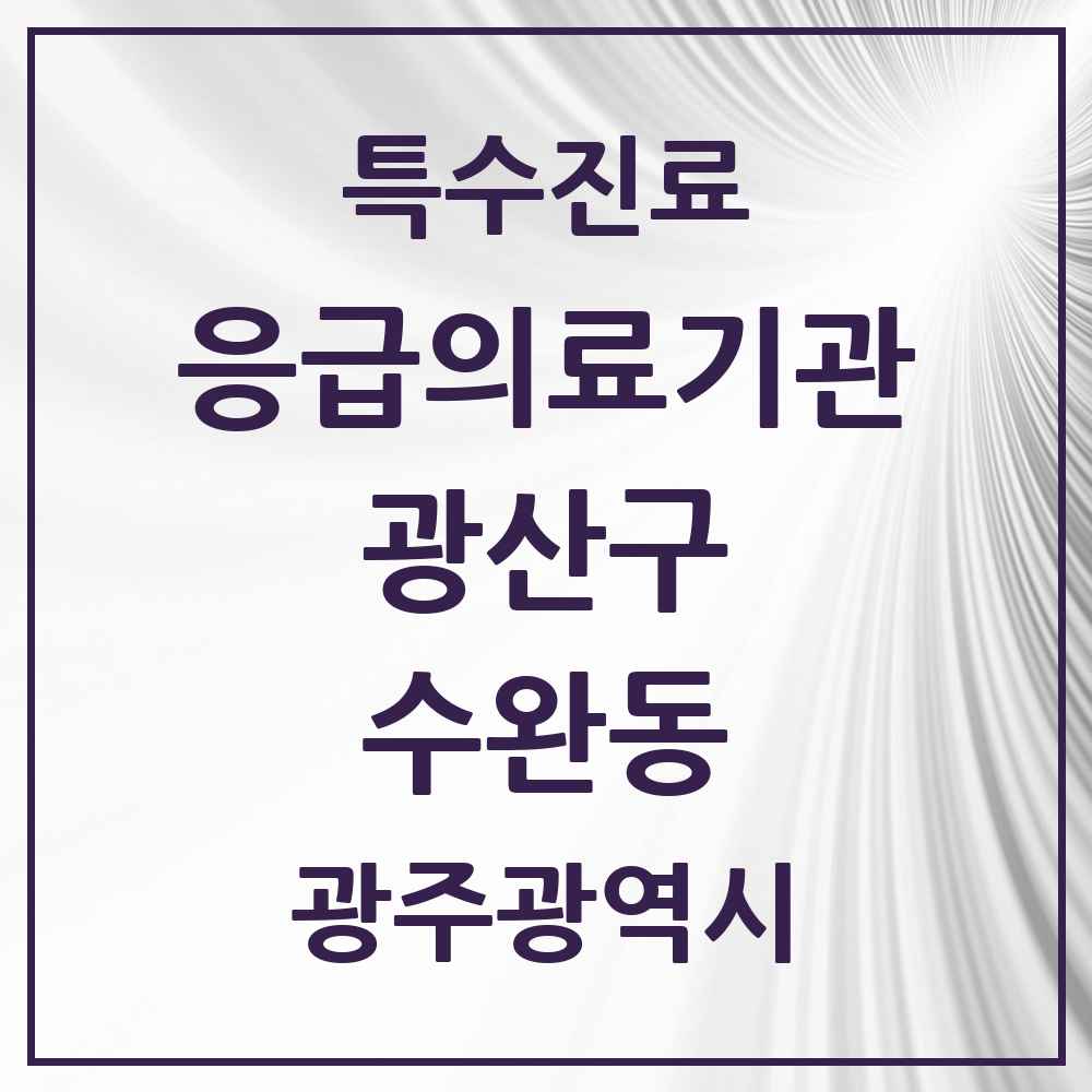 2025 광주광역시 광산구 수완동 응급의료기관 의원·병원 목록 2곳