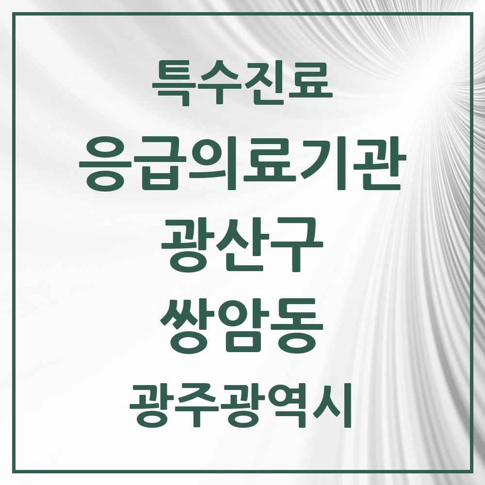 2025 광주광역시 광산구 쌍암동 응급의료기관 의원·병원 목록 1곳