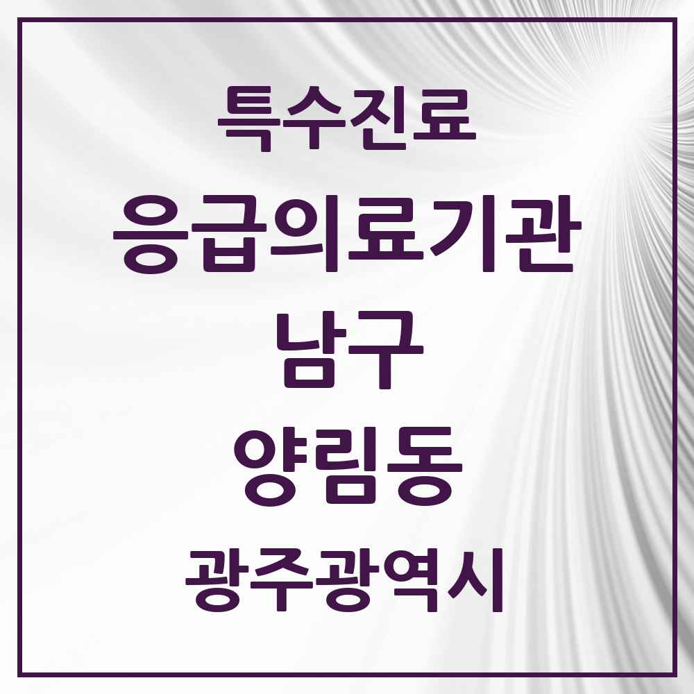 2025 광주광역시 남구 양림동 응급의료기관 의원·병원 목록 1곳