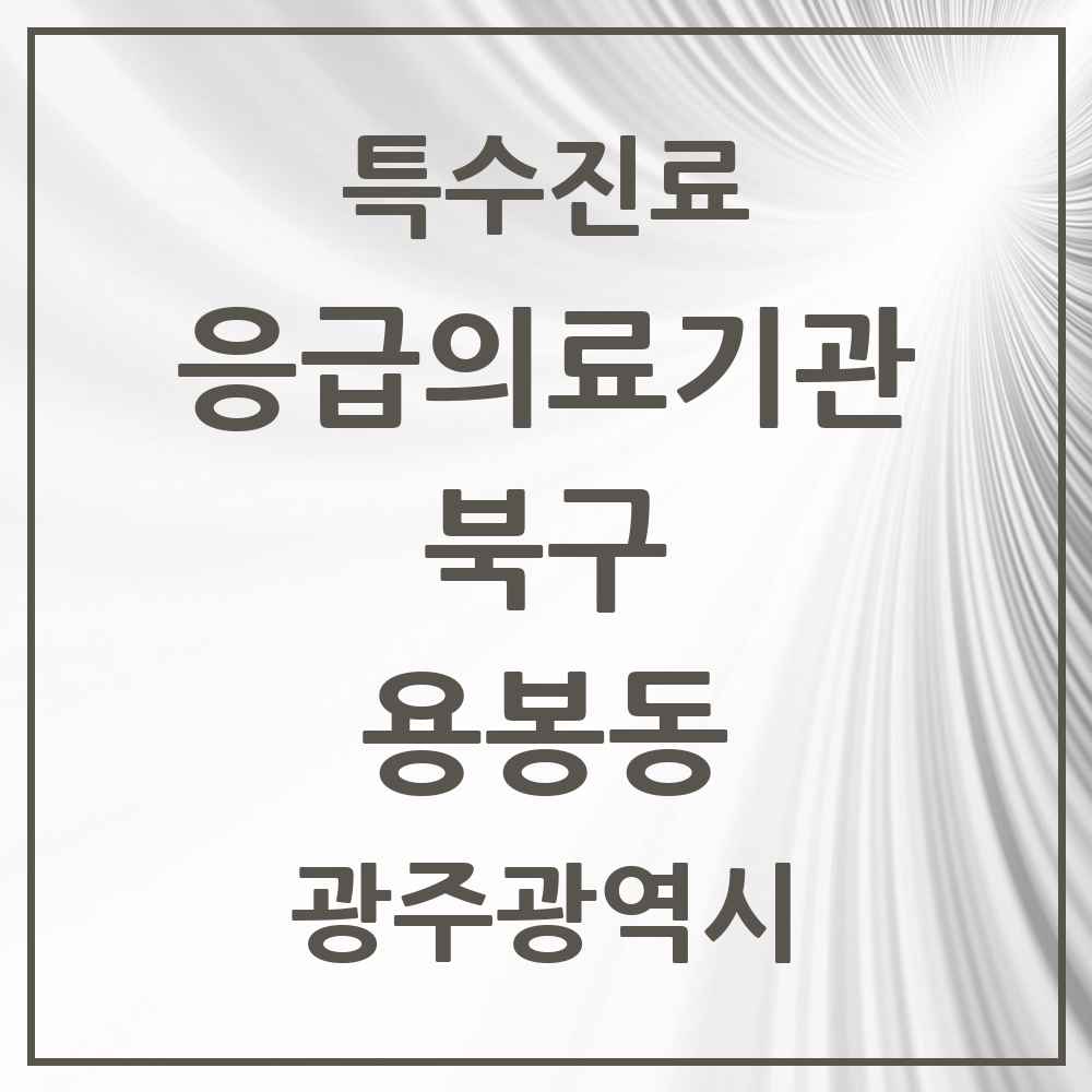 2025 광주광역시 북구 용봉동 응급의료기관 의원·병원 목록 1곳