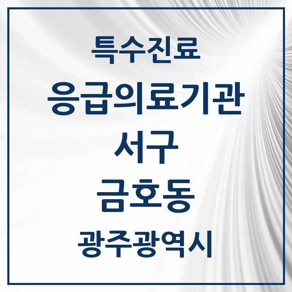 2025 광주광역시 서구 금호동 응급의료기관 의원·병원 목록 1곳